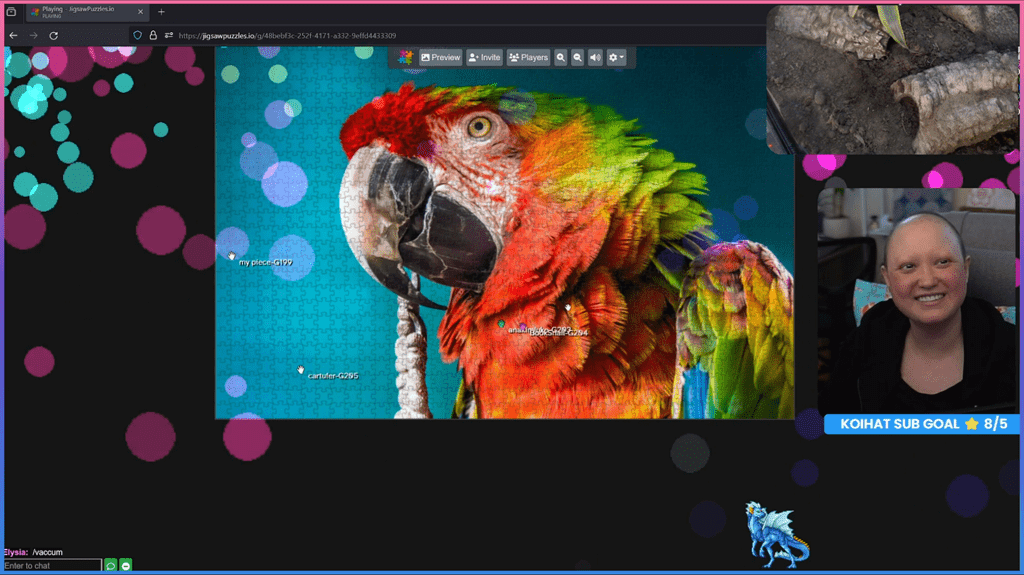 Screenshot of ElysiaGriffin's stream of the finished jigsaw puzzle of a parrot 